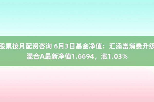 股票按月配资咨询 6月3日基金净值：汇添富消费升级混合A最新净值1.6694，涨1.03%