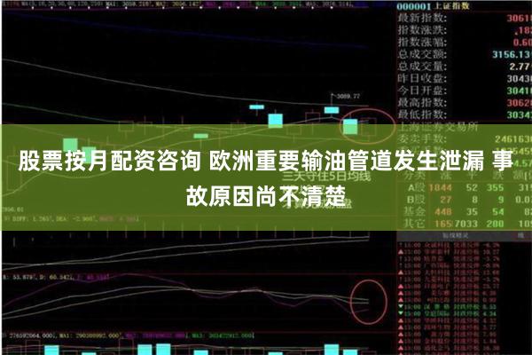 股票按月配资咨询 欧洲重要输油管道发生泄漏 事故原因尚不清楚